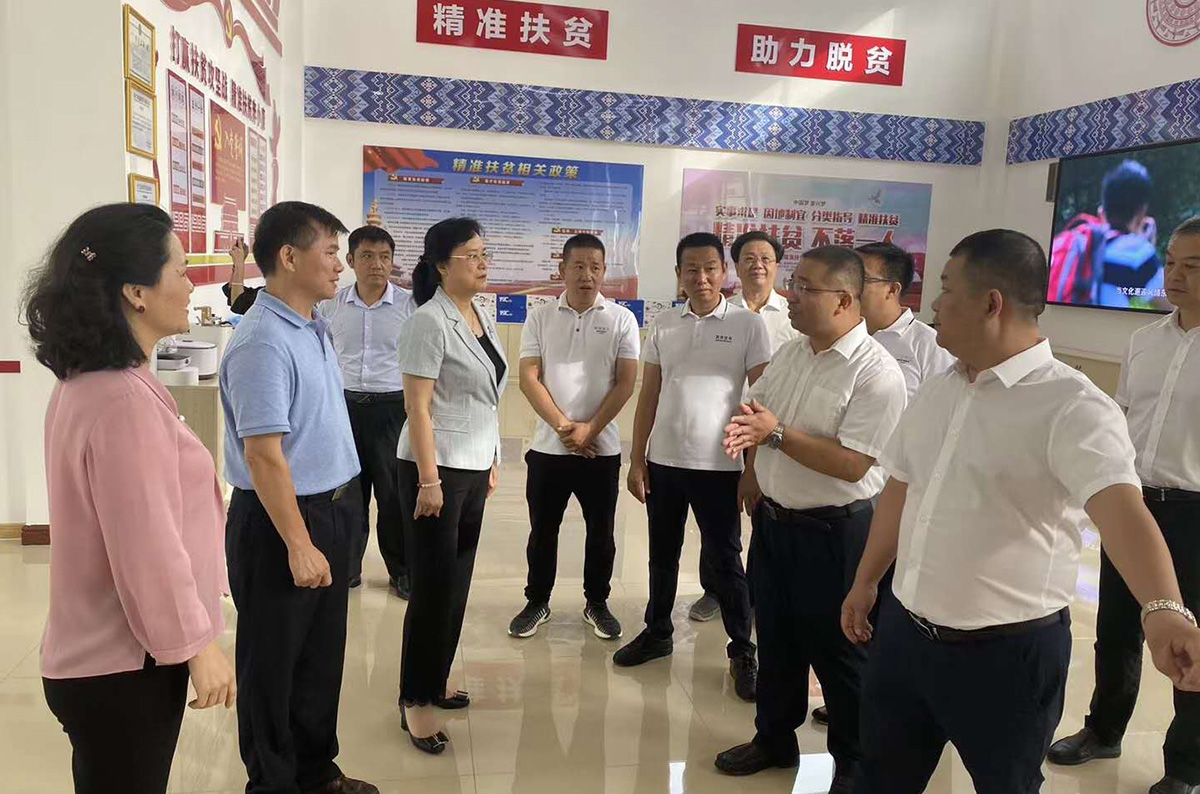 深圳杜玲书记(图2)